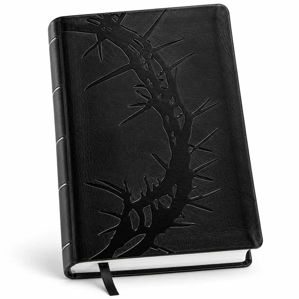 KJV Holy Bible